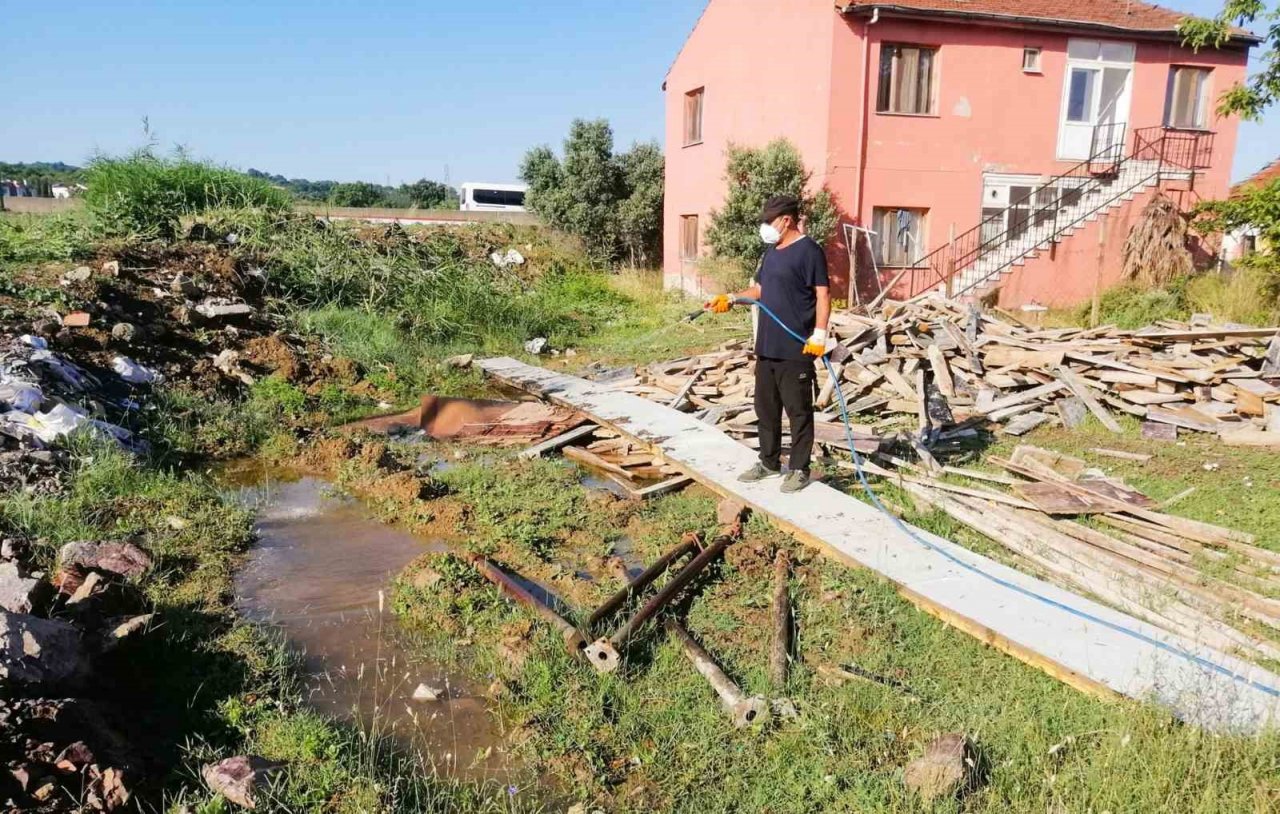 Çiftlikköy’de yaz sezonu ilaçlamaları sürüyor