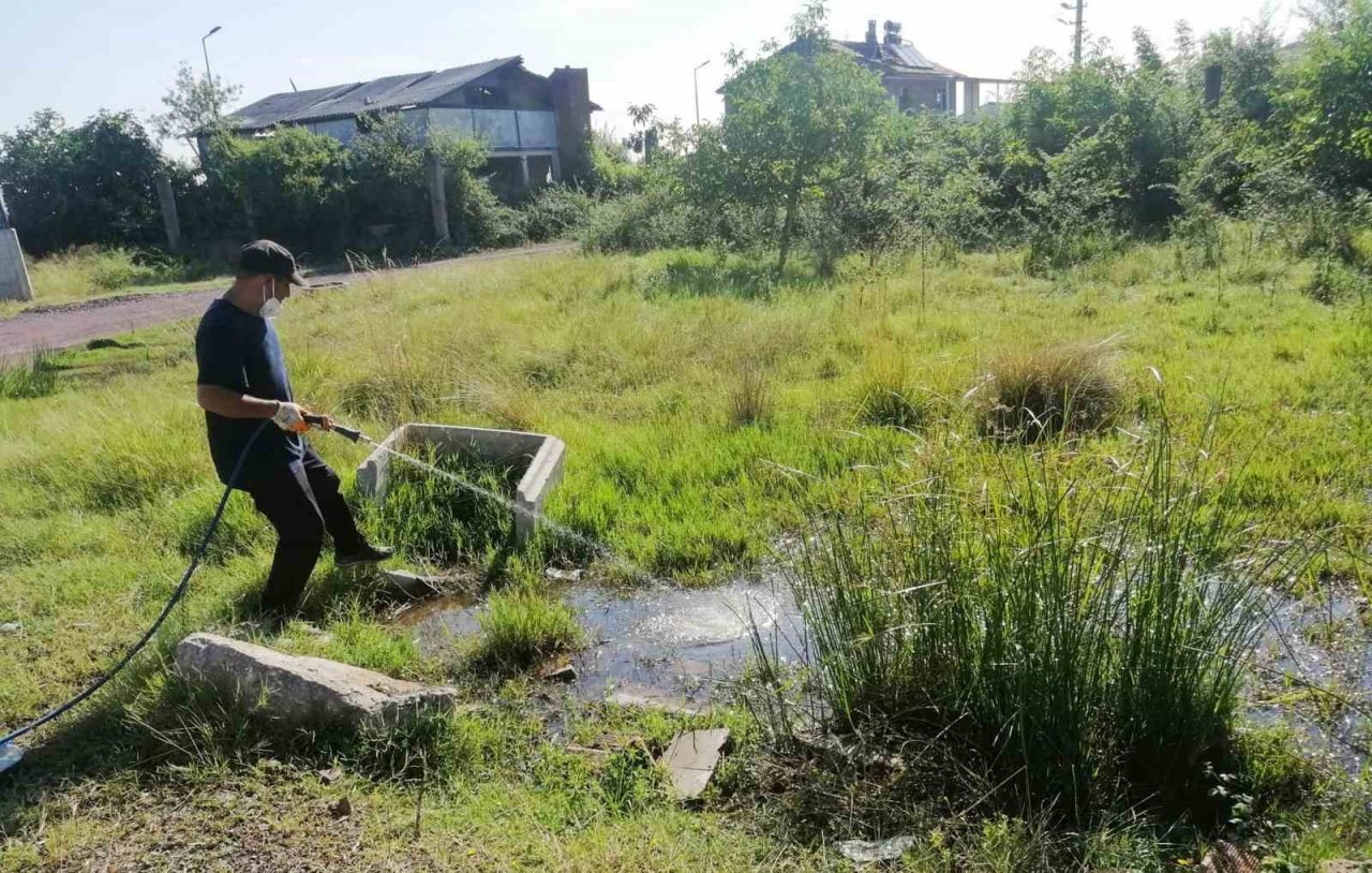 Çiftlikköy’de yaz sezonu ilaçlamaları sürüyor