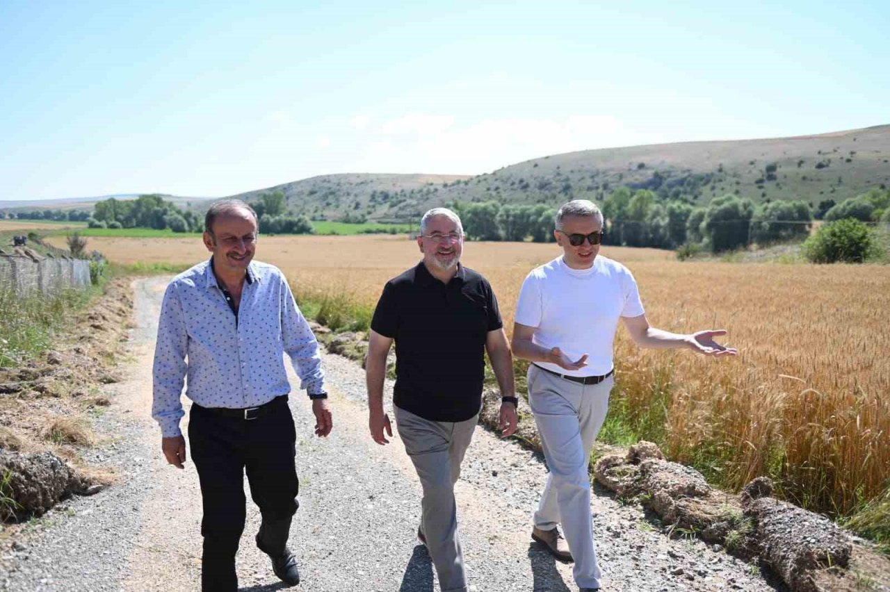 Çorum Belediyesi buğday hasadı için gün sayıyor