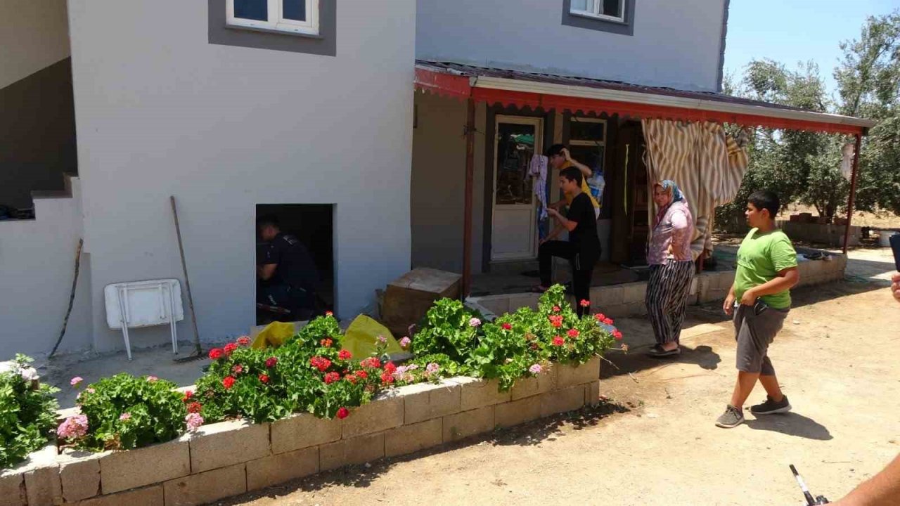 Ormanlar yanınca gölge alan bulamayan yılanlar yerleşim alanına indi