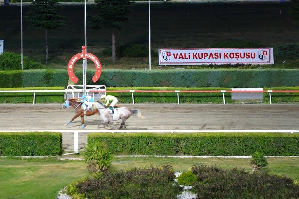 Elazığ Valilik Koşusu’nu Sararhan kazandı