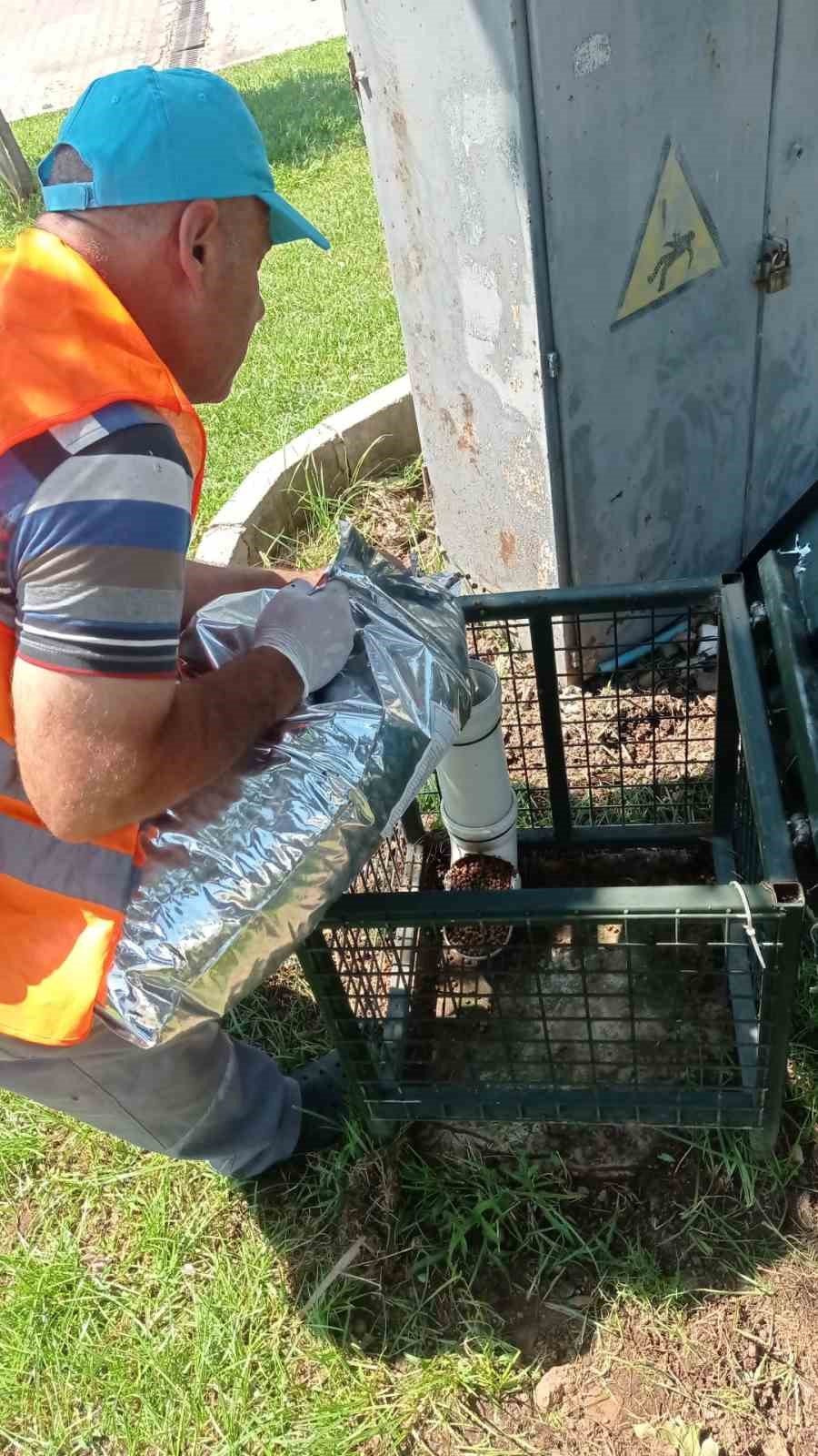 Marmaris Belediyesi kavurucu sıcaklarda can dostlar için seferber oldu