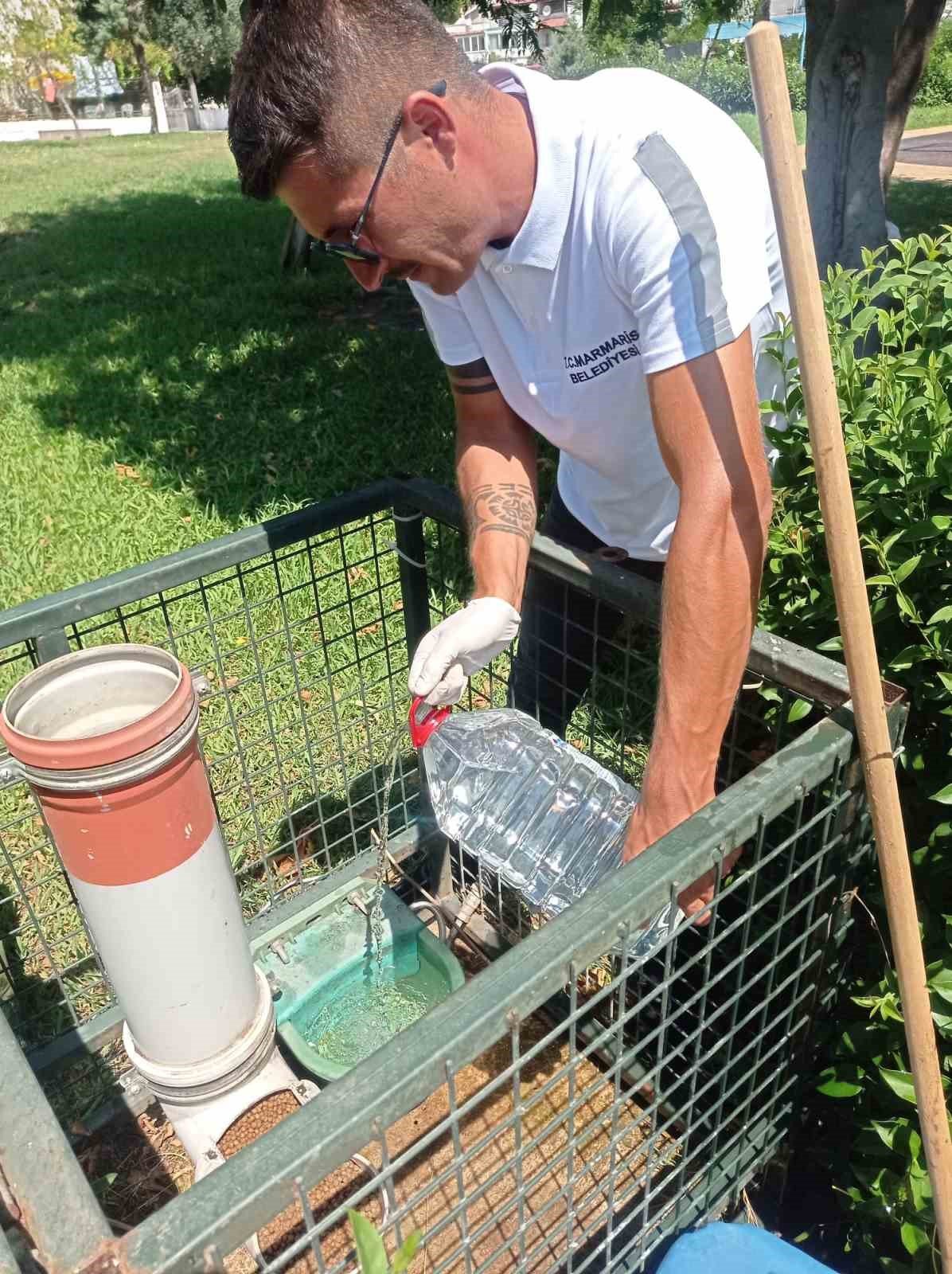 Marmaris Belediyesi kavurucu sıcaklarda can dostlar için seferber oldu