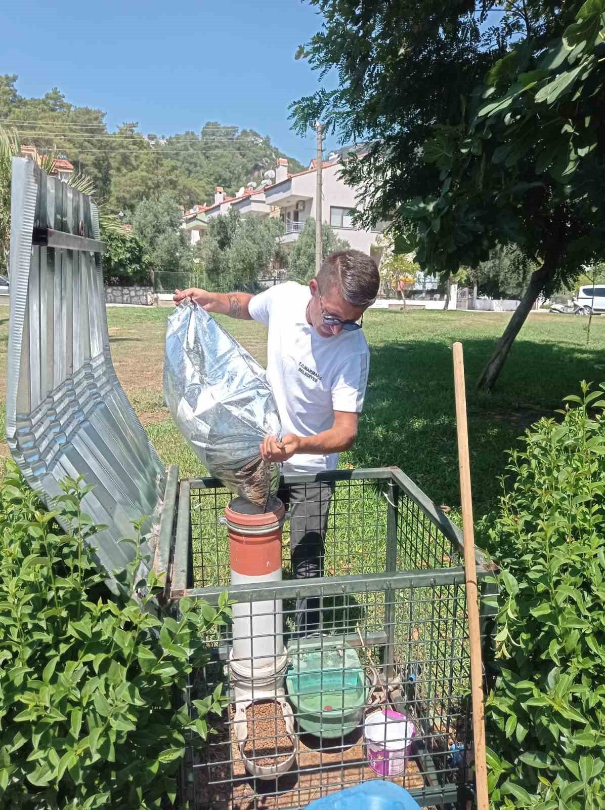 Marmaris Belediyesi kavurucu sıcaklarda can dostlar için seferber oldu