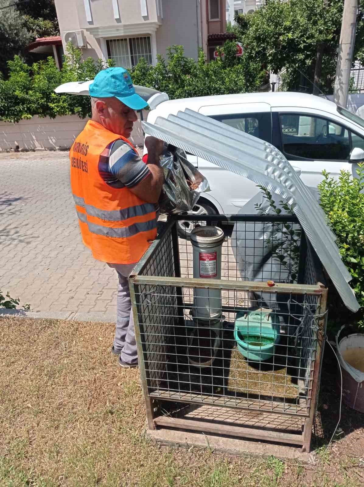 Marmaris Belediyesi kavurucu sıcaklarda can dostlar için seferber oldu