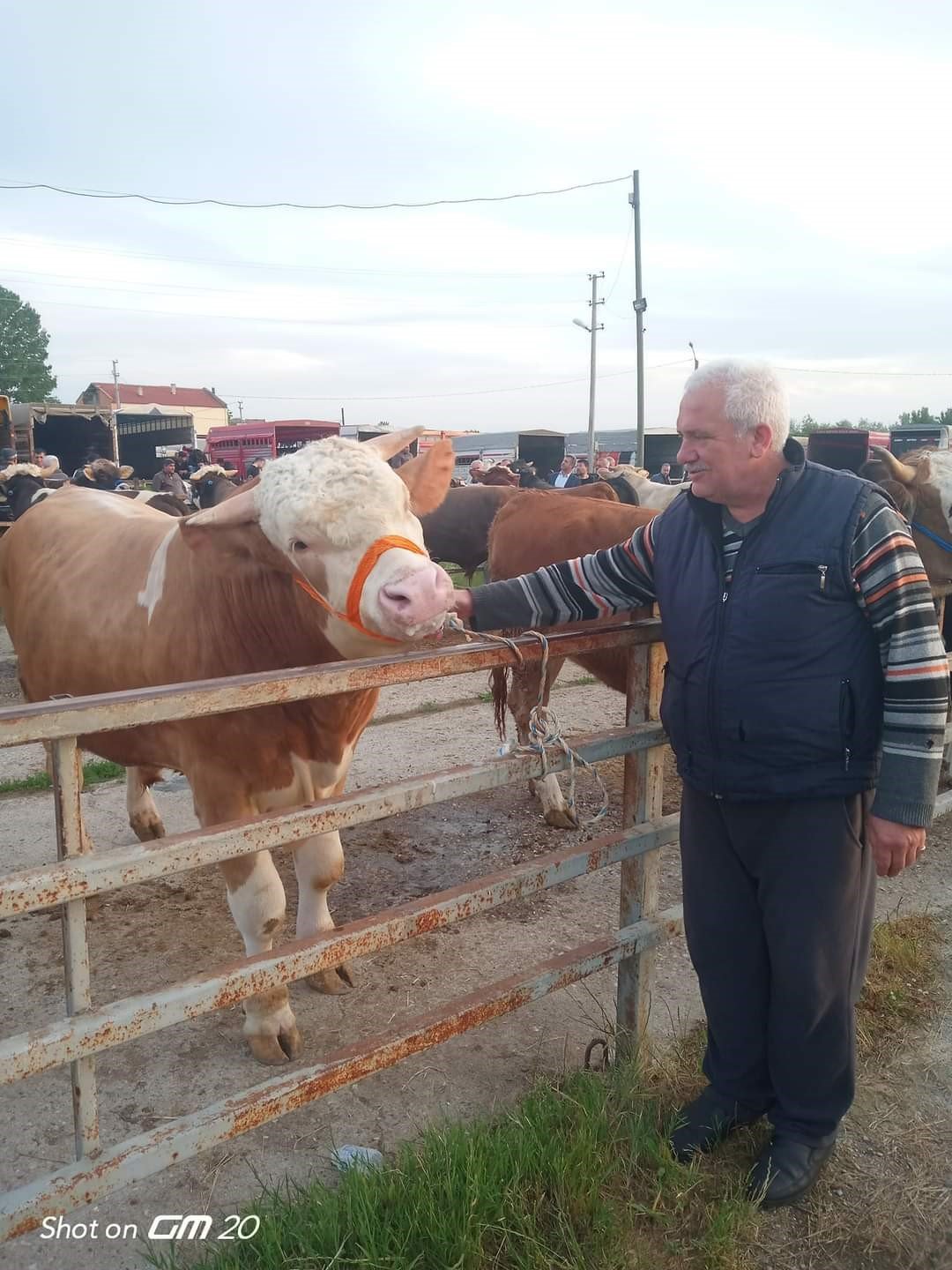 Havsa Canlı Hayvan Pazarı kapatıldı