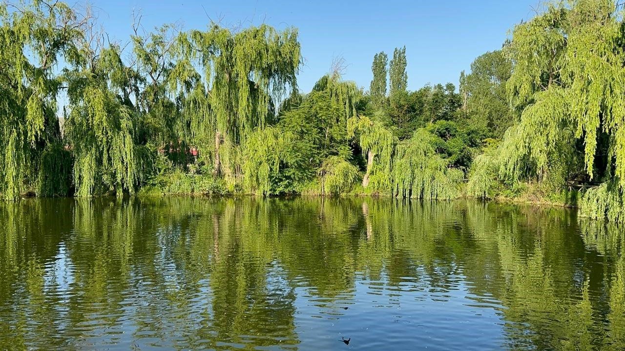 Bozkırın ortasındaki vaha ‘Çay İnli Balıklı Gölü’