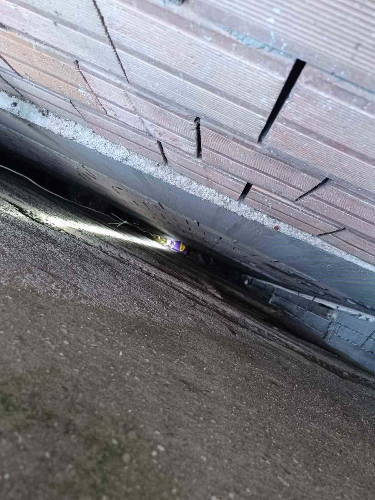 Apartman boşluğuna düşen yavru kediyi itfaiye kurtardı