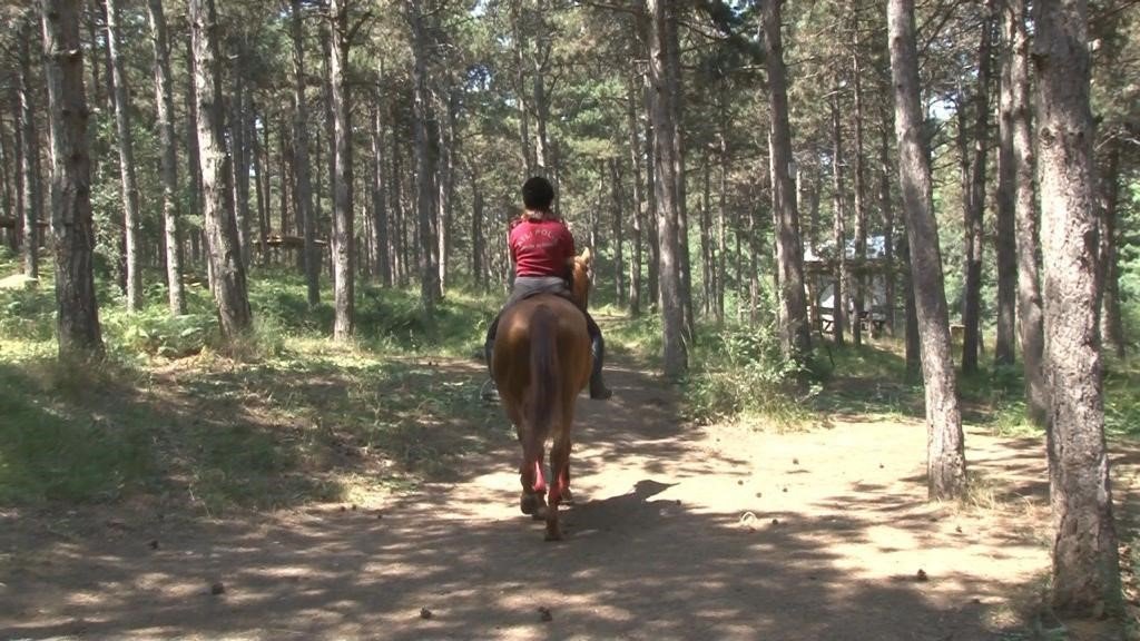Maltepe’de orman yangınlarına karşı hem havadan hem karadan denetim