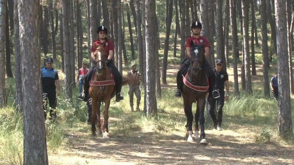 Maltepe’de orman yangınlarına karşı hem havadan hem karadan denetim