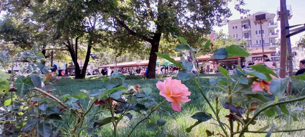 Efe parkı vatandaşların hizmetine açıldı