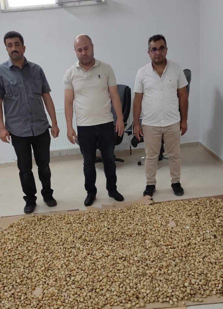 Salep soğanlarını tahrip eden kişilere 488 bin 628 TL para cezası verildi