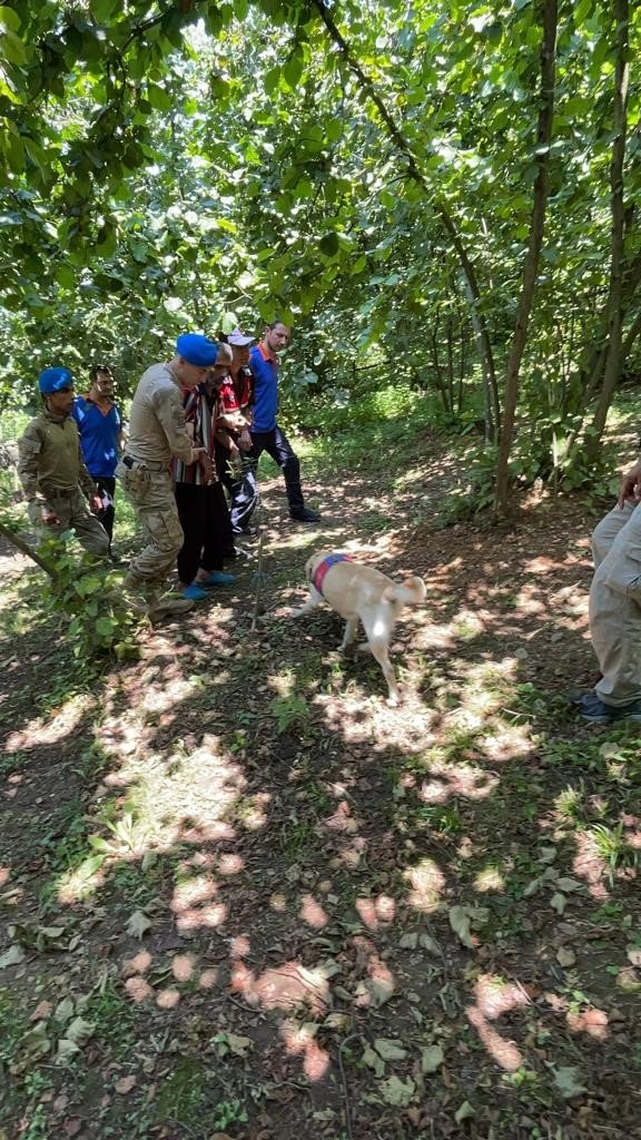Kaybolan vatandaş ormanlık alanda bulundu