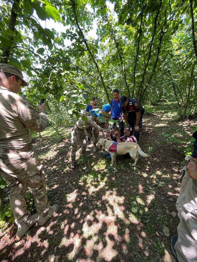 Kaybolan vatandaş ormanlık alanda bulundu