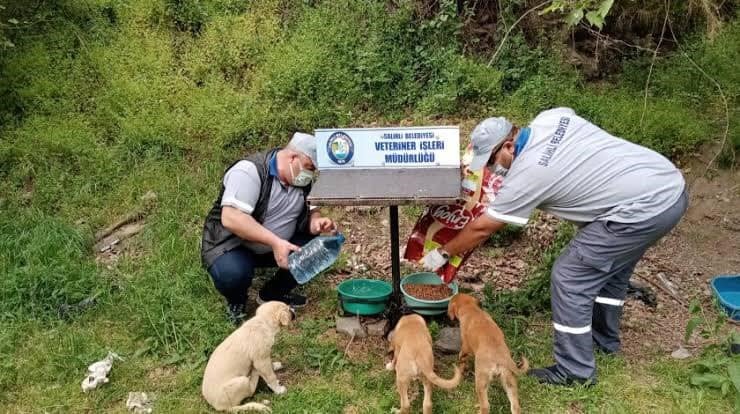 Salihli’de sokak hayvanları için çağrı: ’Bir kap su, bir kap yemek’