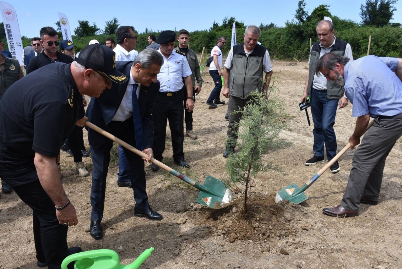 Sinop’ta 15 temmuz şehitleri anısına 251 fidan toprakla buluştu