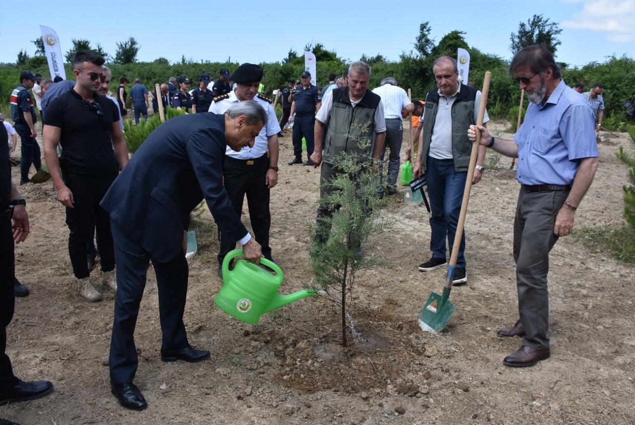 Sinop’ta 15 temmuz şehitleri anısına 251 fidan toprakla buluştu