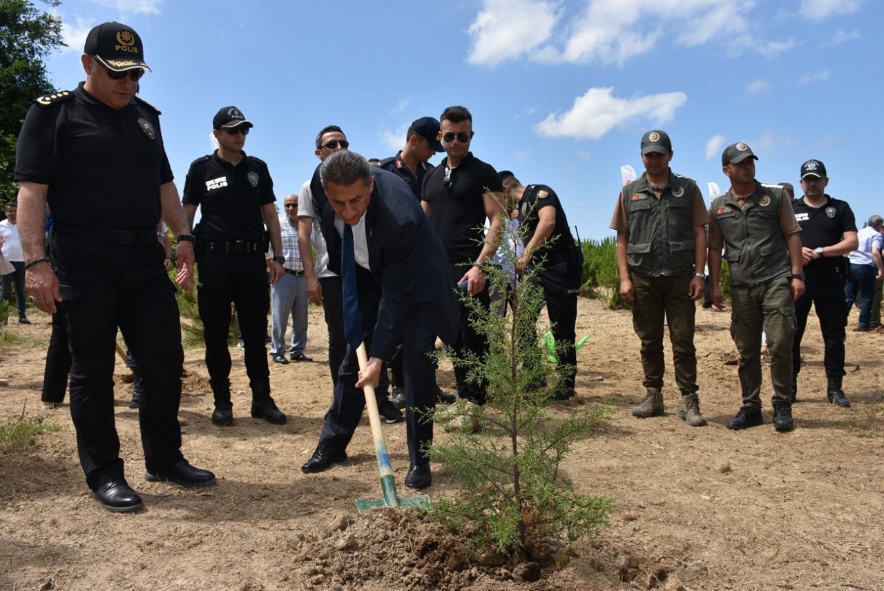 Sinop’ta 15 temmuz şehitleri anısına 251 fidan toprakla buluştu