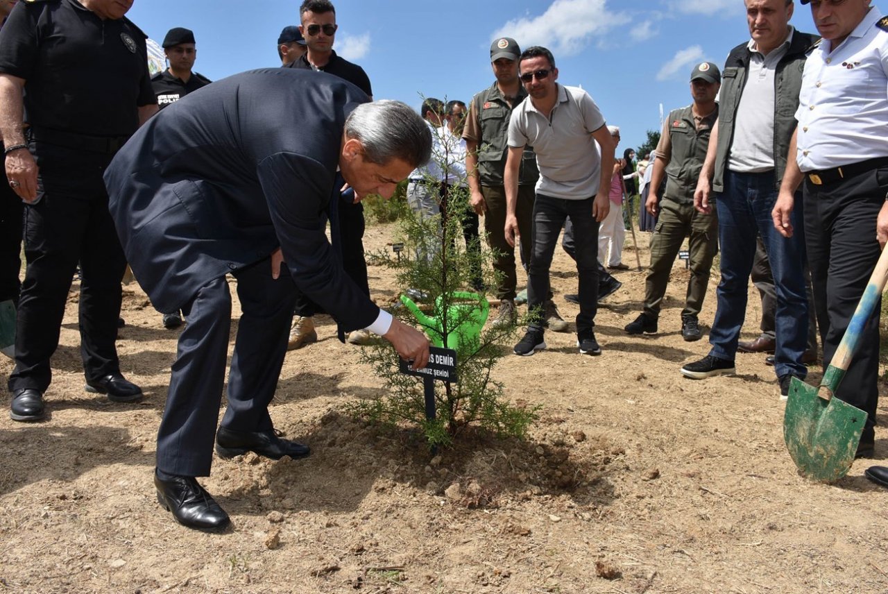 Sinop’ta 15 temmuz şehitleri anısına 251 fidan toprakla buluştu