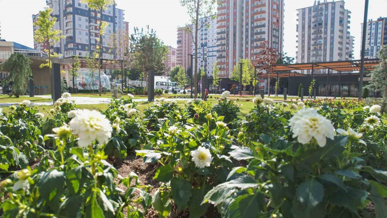 Mevlana Meydanı rengarenk