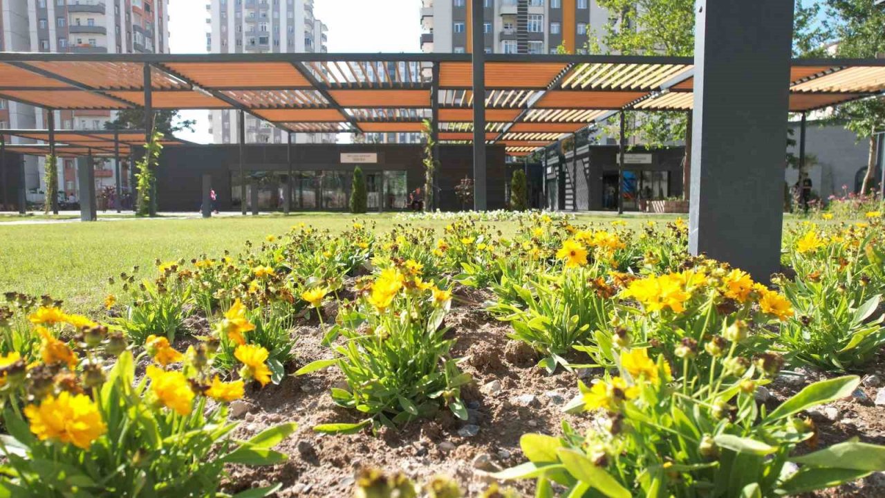 Mevlana Meydanı rengarenk