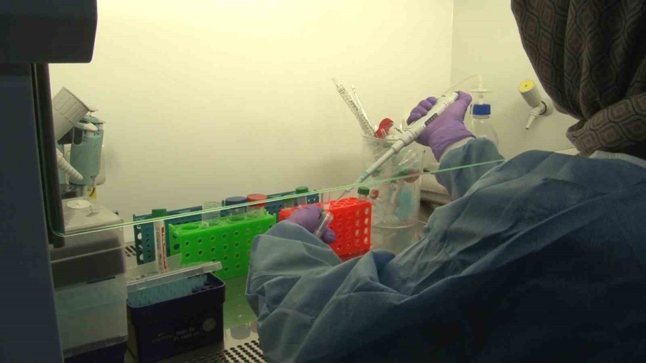 Türkiye’de sıkça görülen mesane kanserinde yeni tedavi yöntemi geliştiriliyor