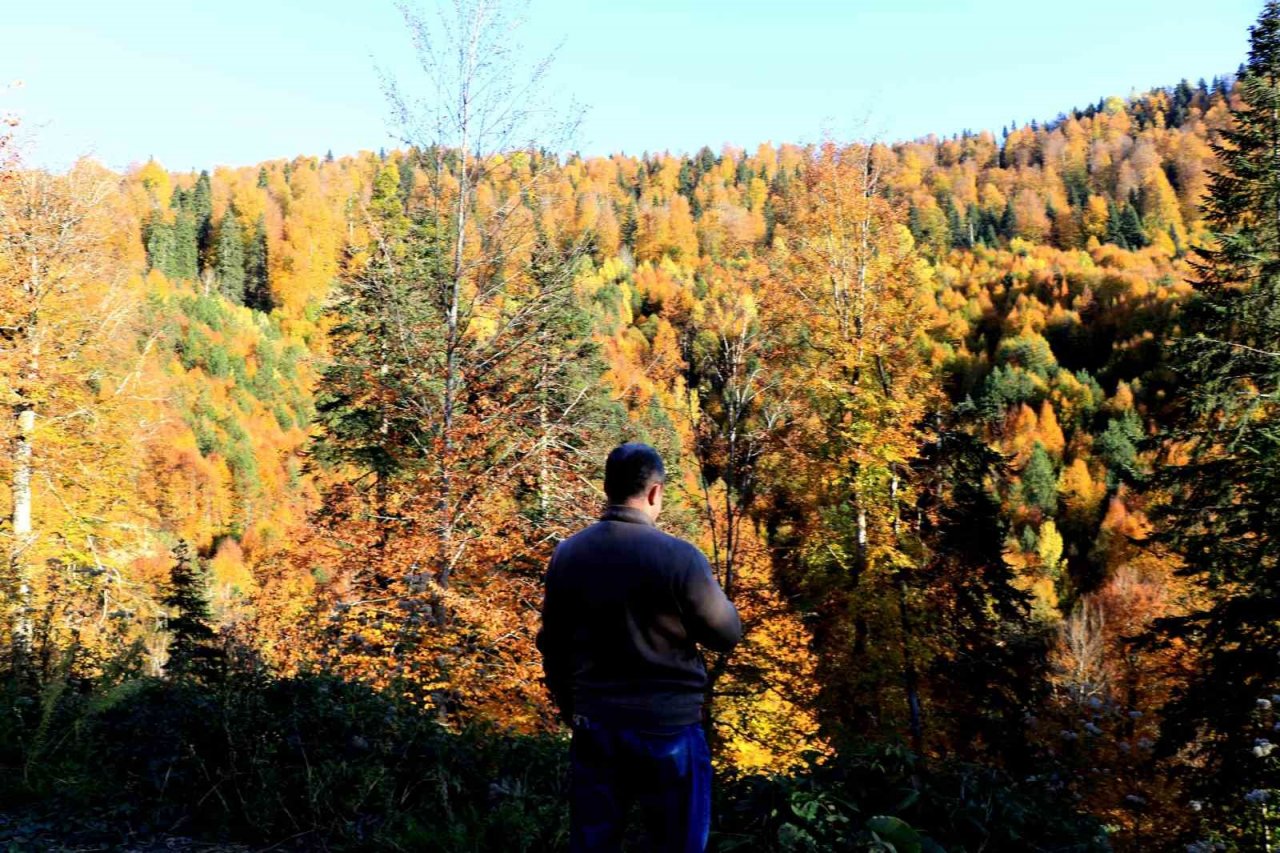 Türkiye’nin en büyük blok ormanlarına girişler 3 ay yasaklandı