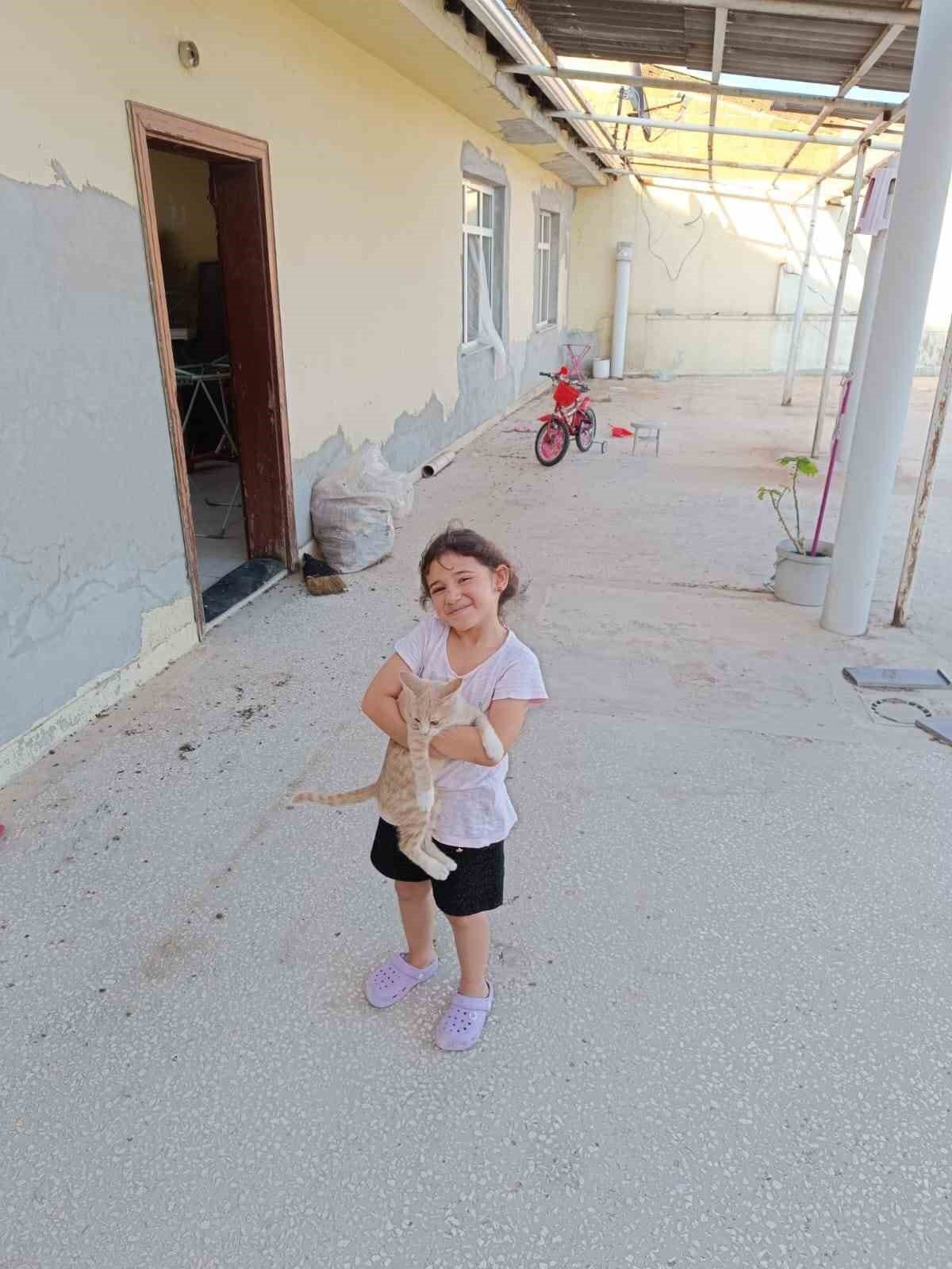 Apartman boşluğuna düşen yavru kediyi itfaiye kurtardı