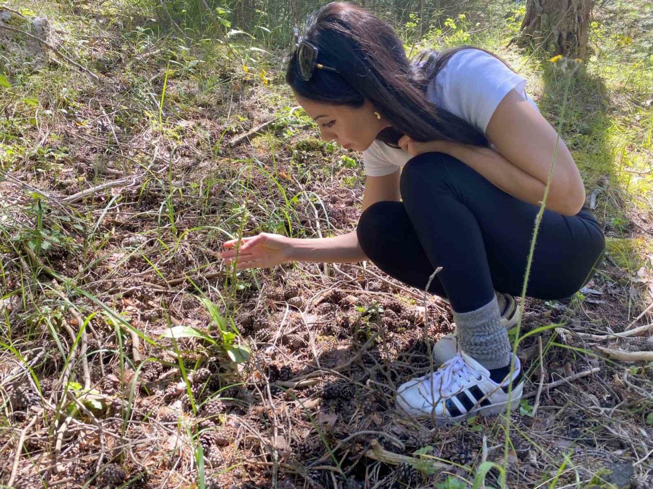 Yozgat’ta salep orkidelerine yönelik bilimsel çalışma yapıldı