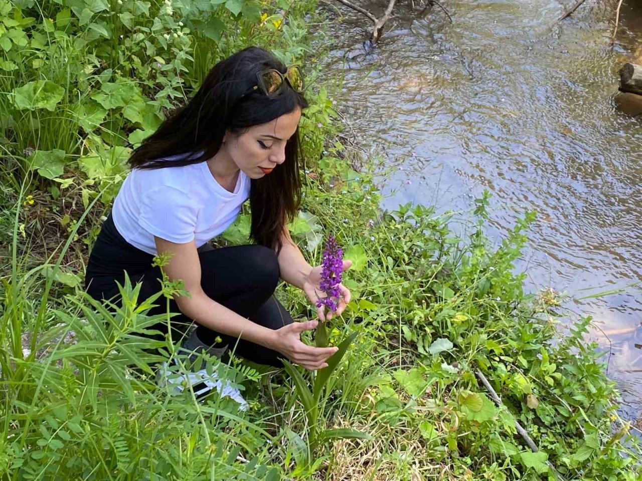Yozgat’ta salep orkidelerine yönelik bilimsel çalışma yapıldı