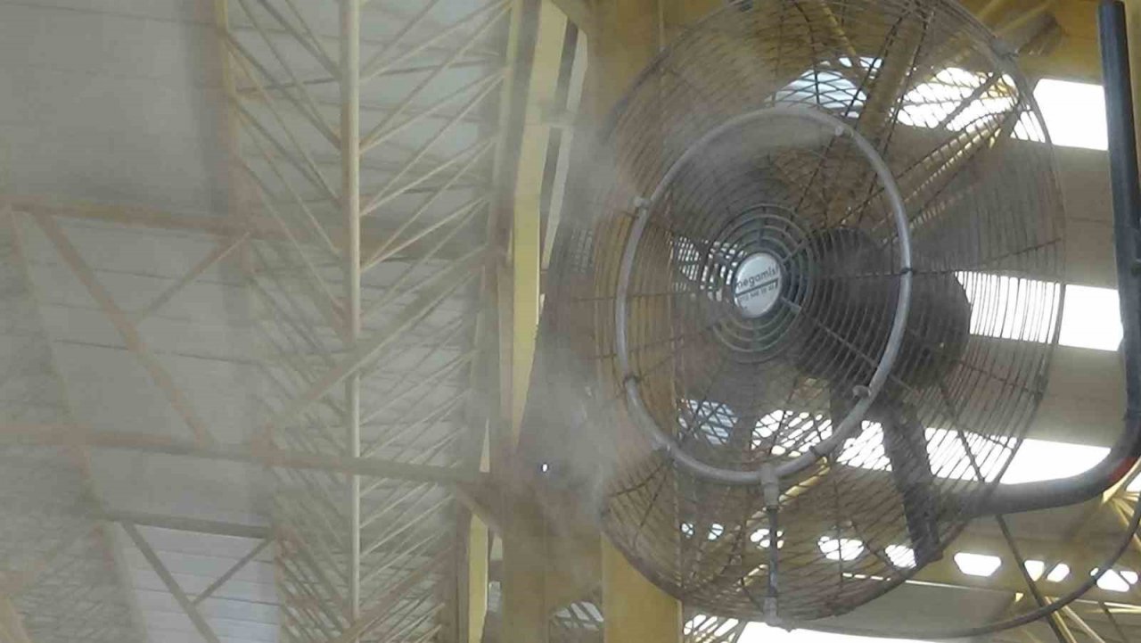 Çöl sıcaklarında klimalı pazar büyük ilgi görüyor