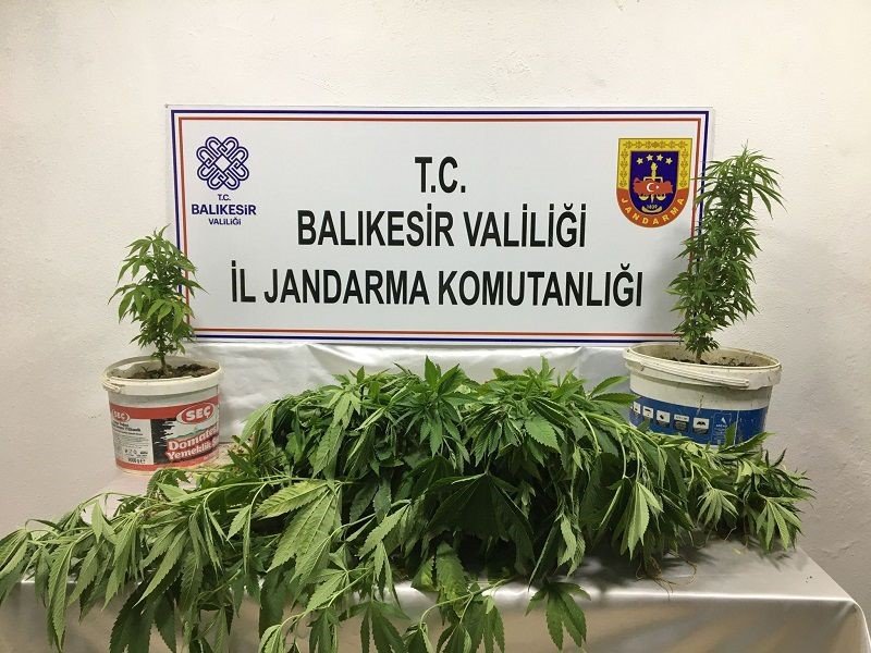 Balıkesir’de jandarmadan uyuşturucu ve organize suç operasyonu