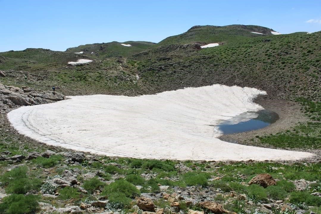 Yaban hayvanlarının can suyu olan Zoveser Gölü kurudu