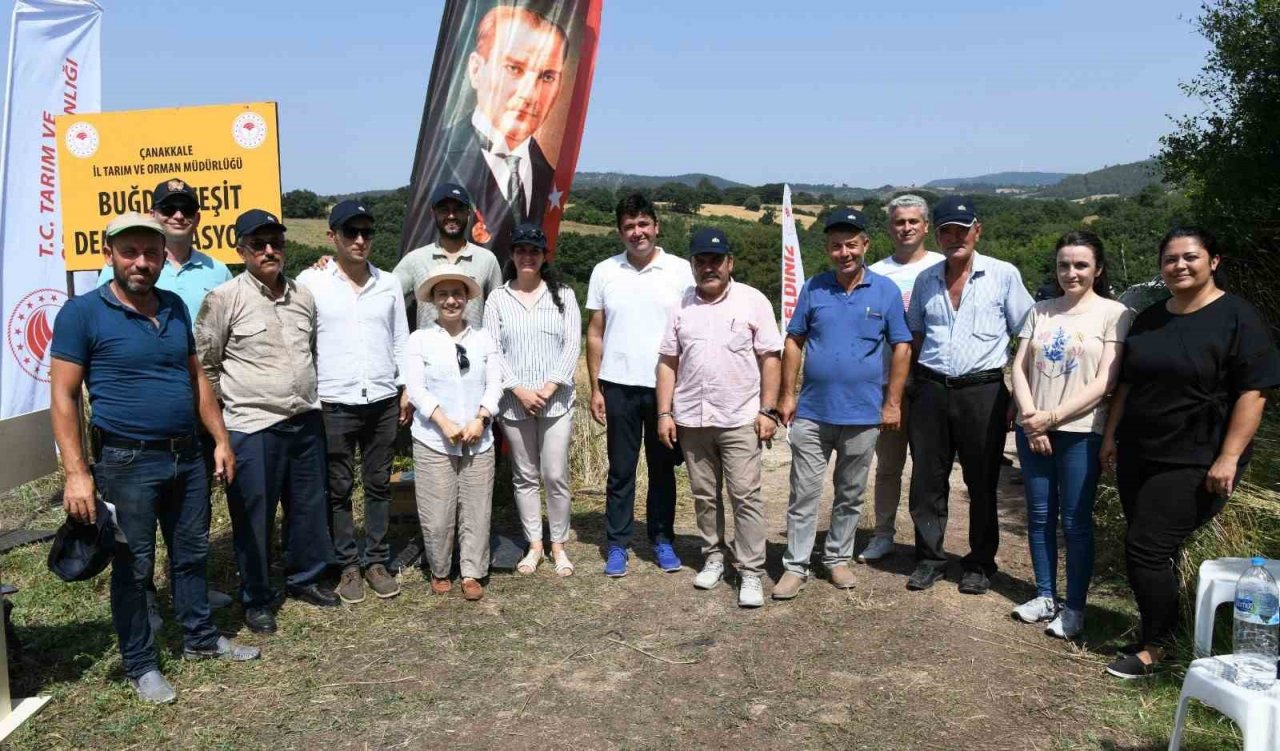 Lapseki’de Buğday Çeşit Demonstrasyon Tarla Günü düzenlendi