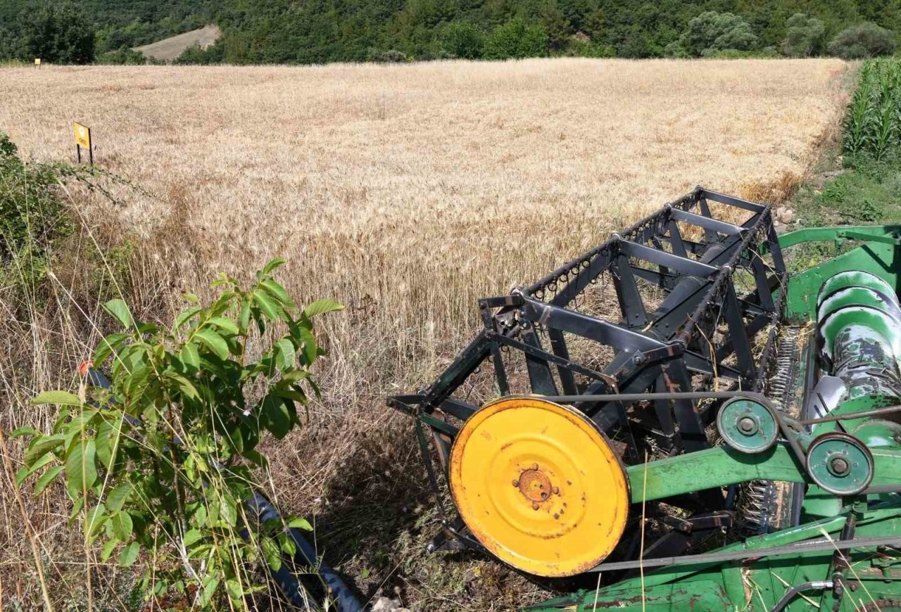 Lapseki’de Buğday Çeşit Demonstrasyon Tarla Günü düzenlendi