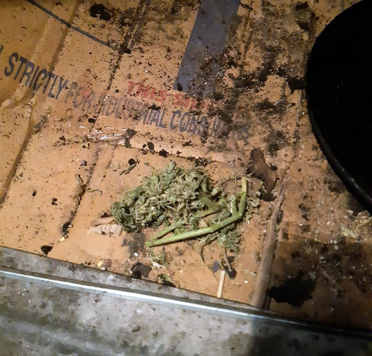 Uyuşturucuyu oğluna sattıran babanın suça karıştığını kameralar kanıtladı