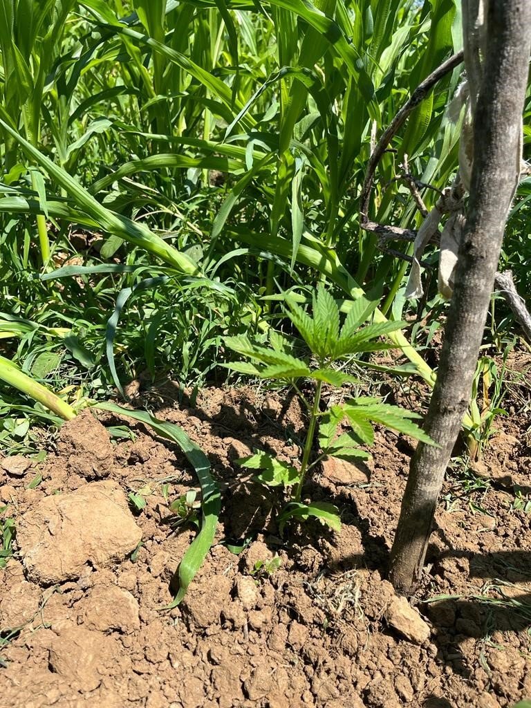 Uyuşturucuyu oğluna sattıran babanın suça karıştığını kameralar kanıtladı