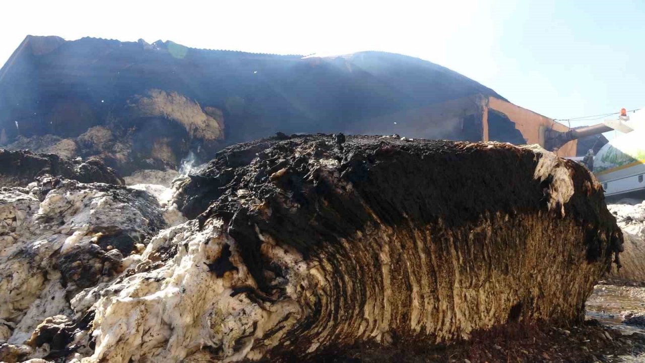 Diyarbakır’da tekstil fabrikasında yangın: Zarar 100 milyon TL