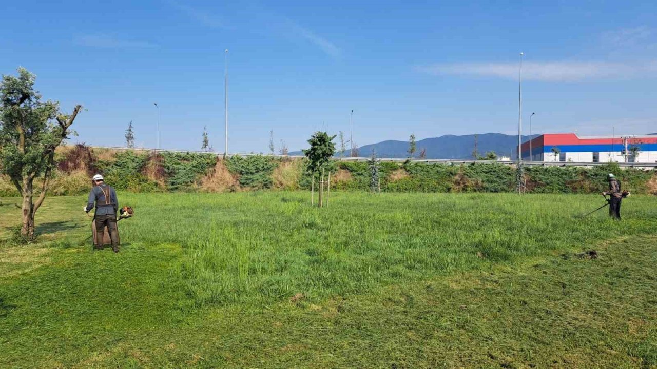 Park bahçeler, Düzce’yi ilmek ilmek işliyor