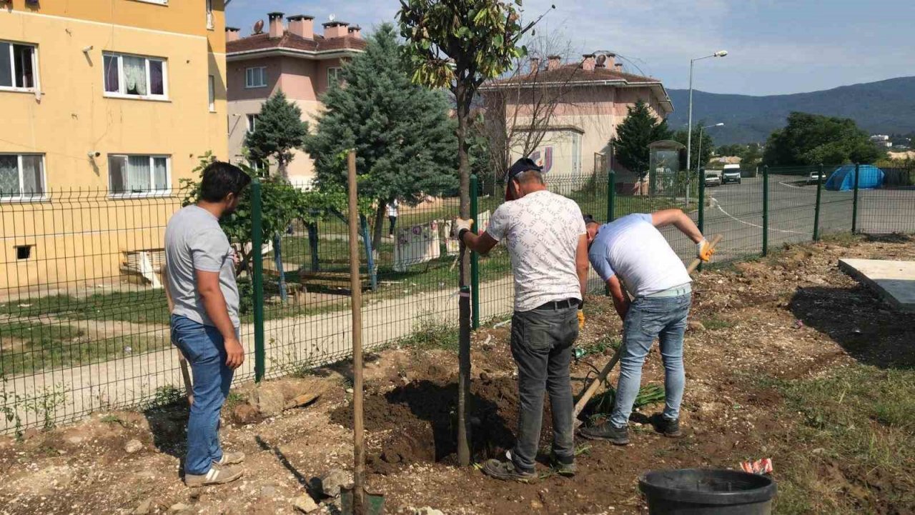 Park bahçeler, Düzce’yi ilmek ilmek işliyor