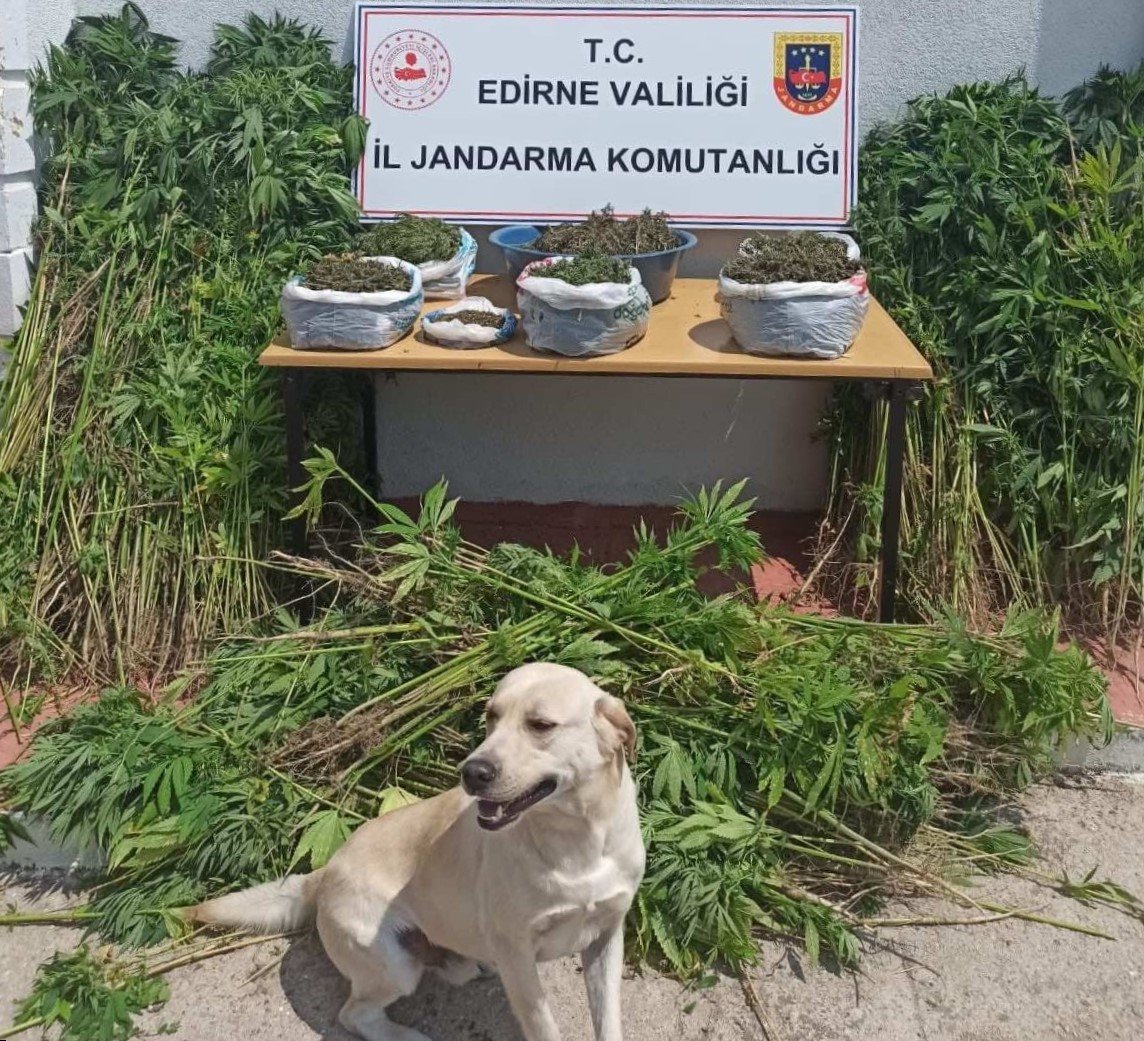 Edirne’de uyuşturucu operasyonu: 14 kilo 792 gram uyuşturucu ele geçirildi