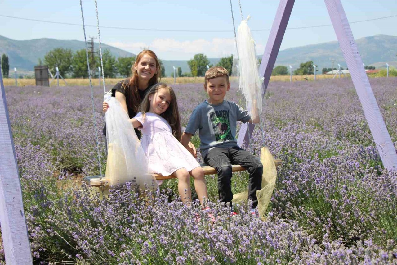 ‘Süpürge mi dikiyorsun?’ diyenlere inat lavanta yetiştirdi