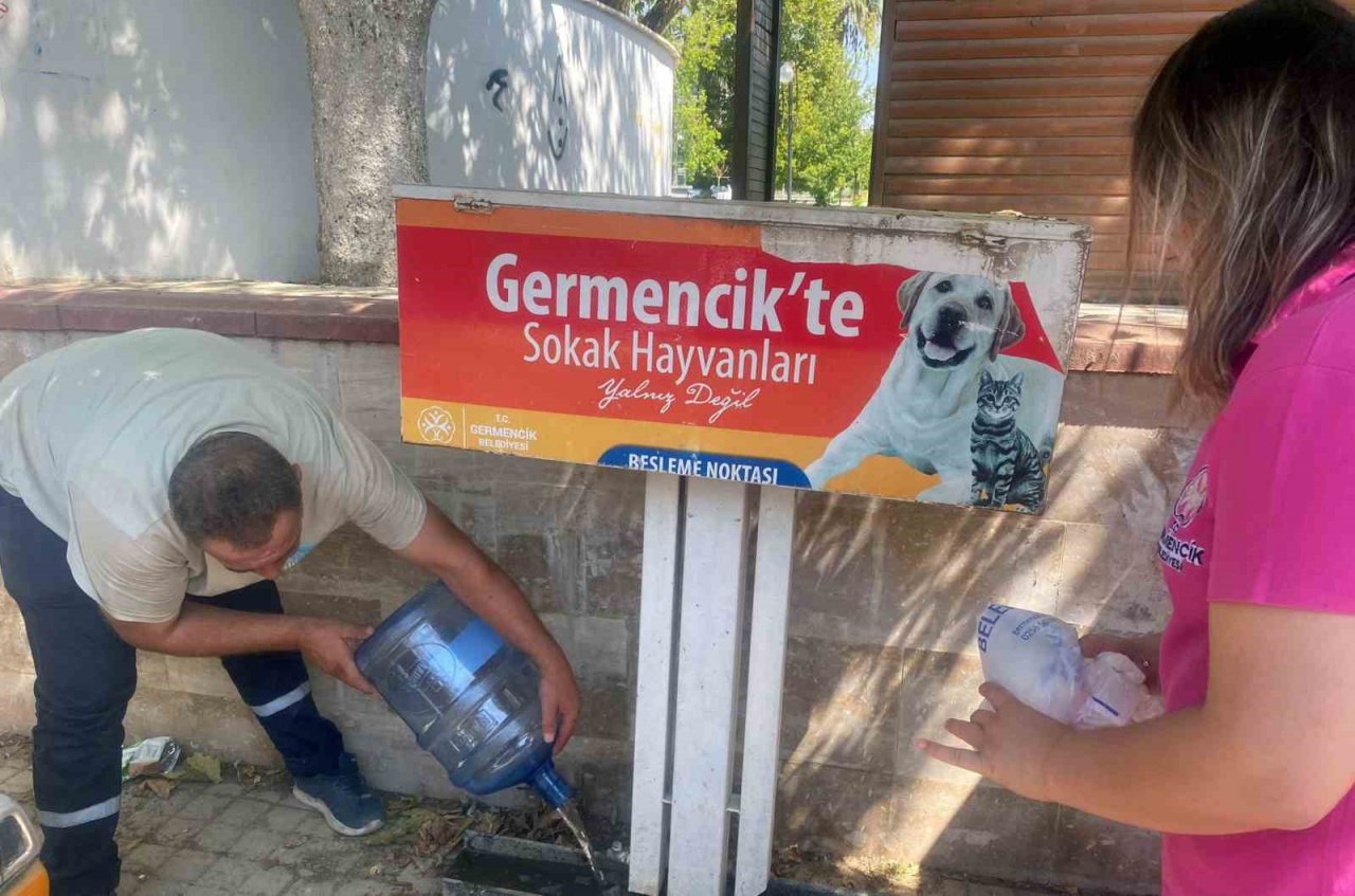 Germencik Belediyesi kavurucu sıcaklarda can dostlar için seferber oldu