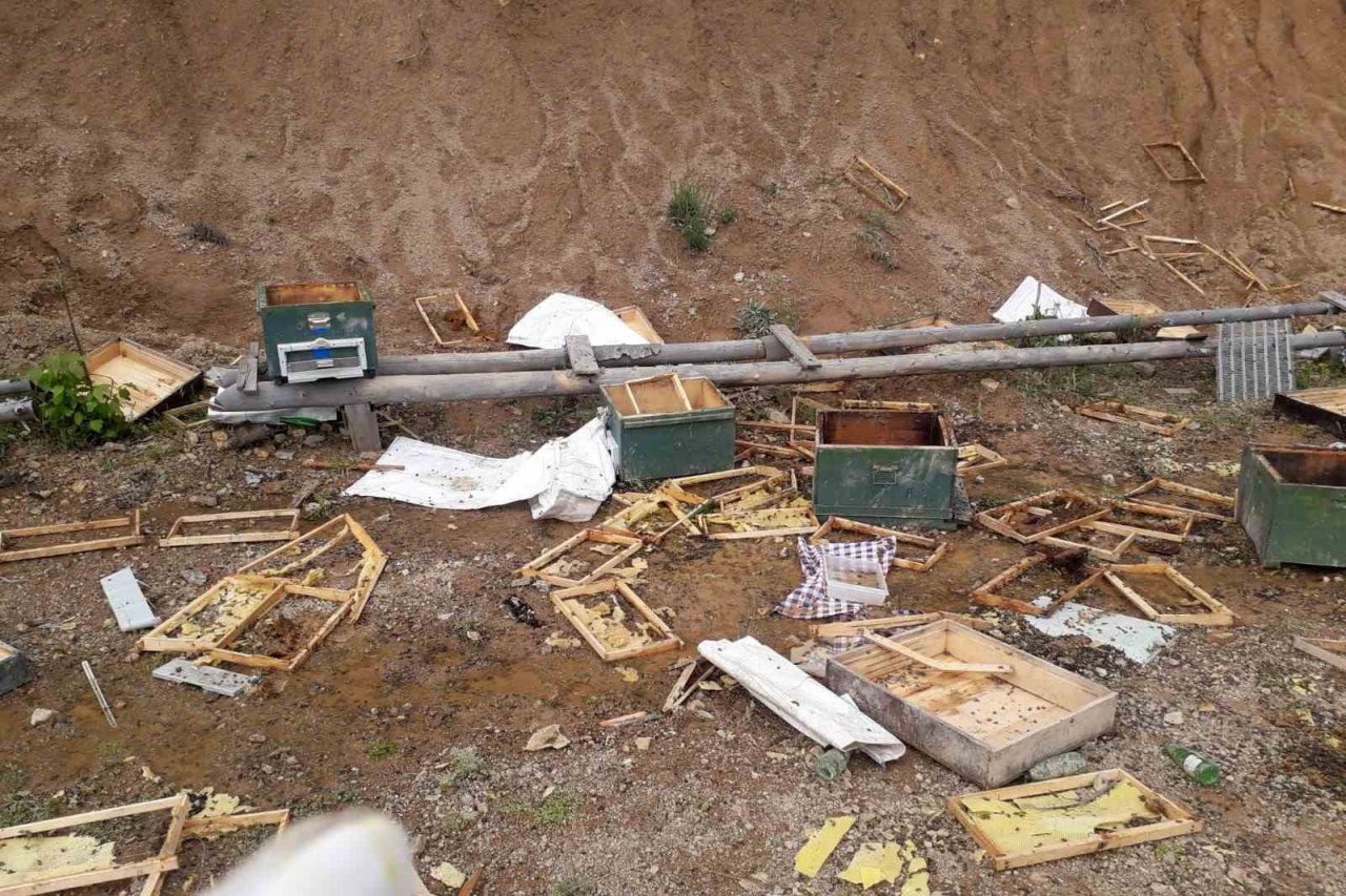 Ayılar çitin altını kazarak girdikleri alandaki kovanları parçaladı