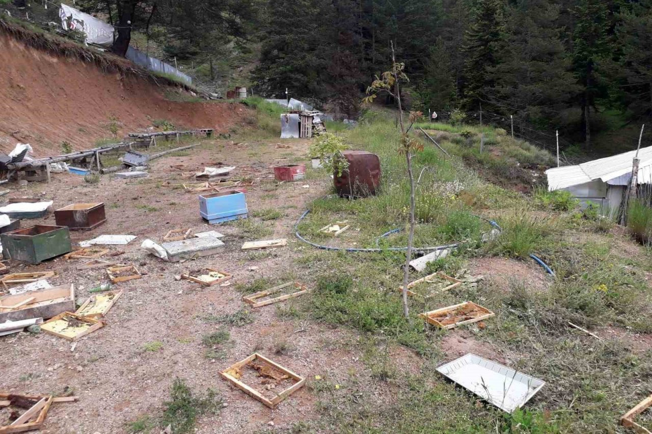 Ayılar çitin altını kazarak girdikleri alandaki kovanları parçaladı