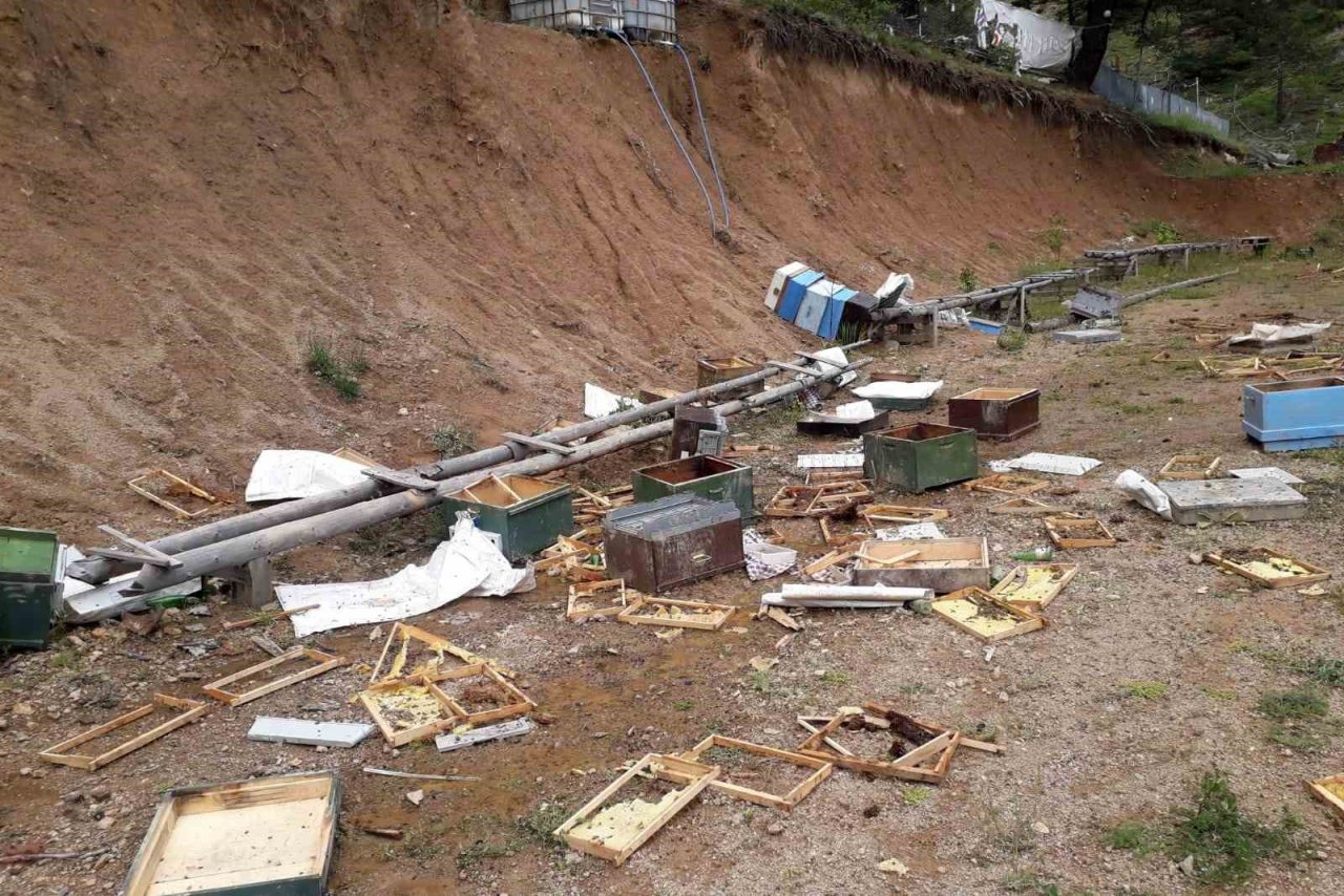 Ayılar çitin altını kazarak girdikleri alandaki kovanları parçaladı