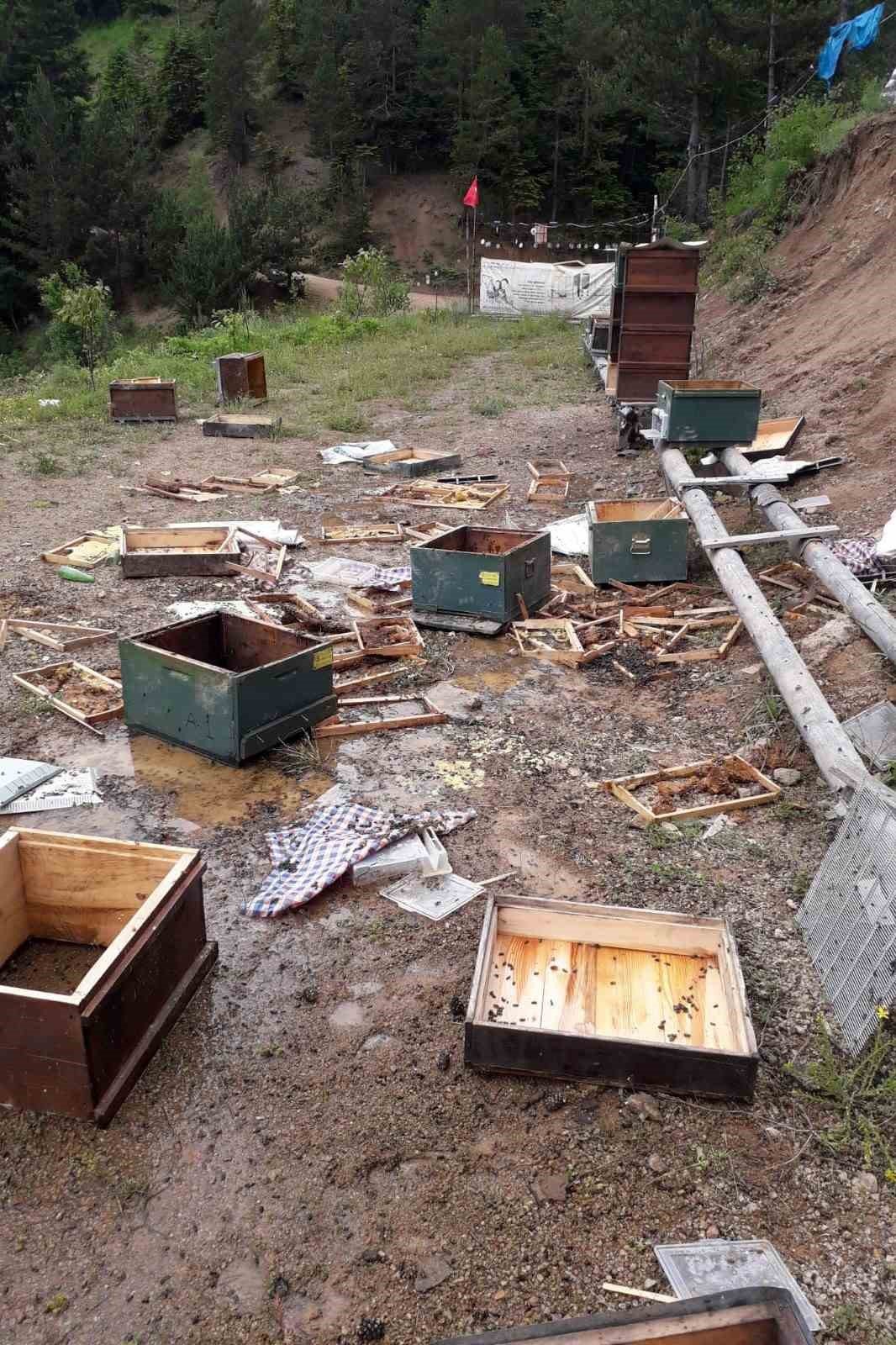 Ayılar çitin altını kazarak girdikleri alandaki kovanları parçaladı