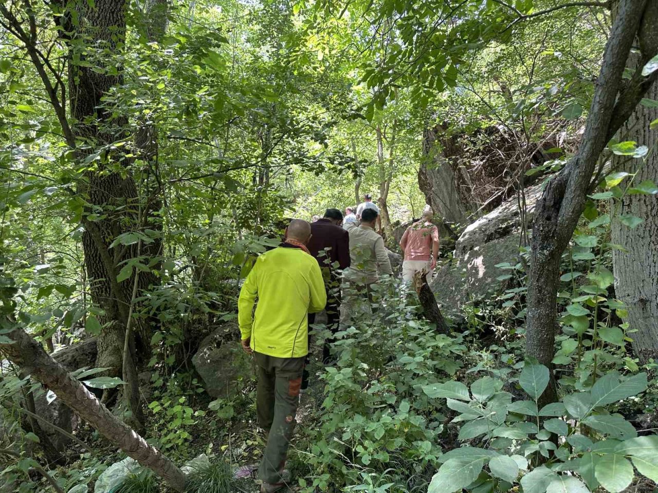 Irak heyeti Amazon’a benzettikleri Doski Vadisi’nde