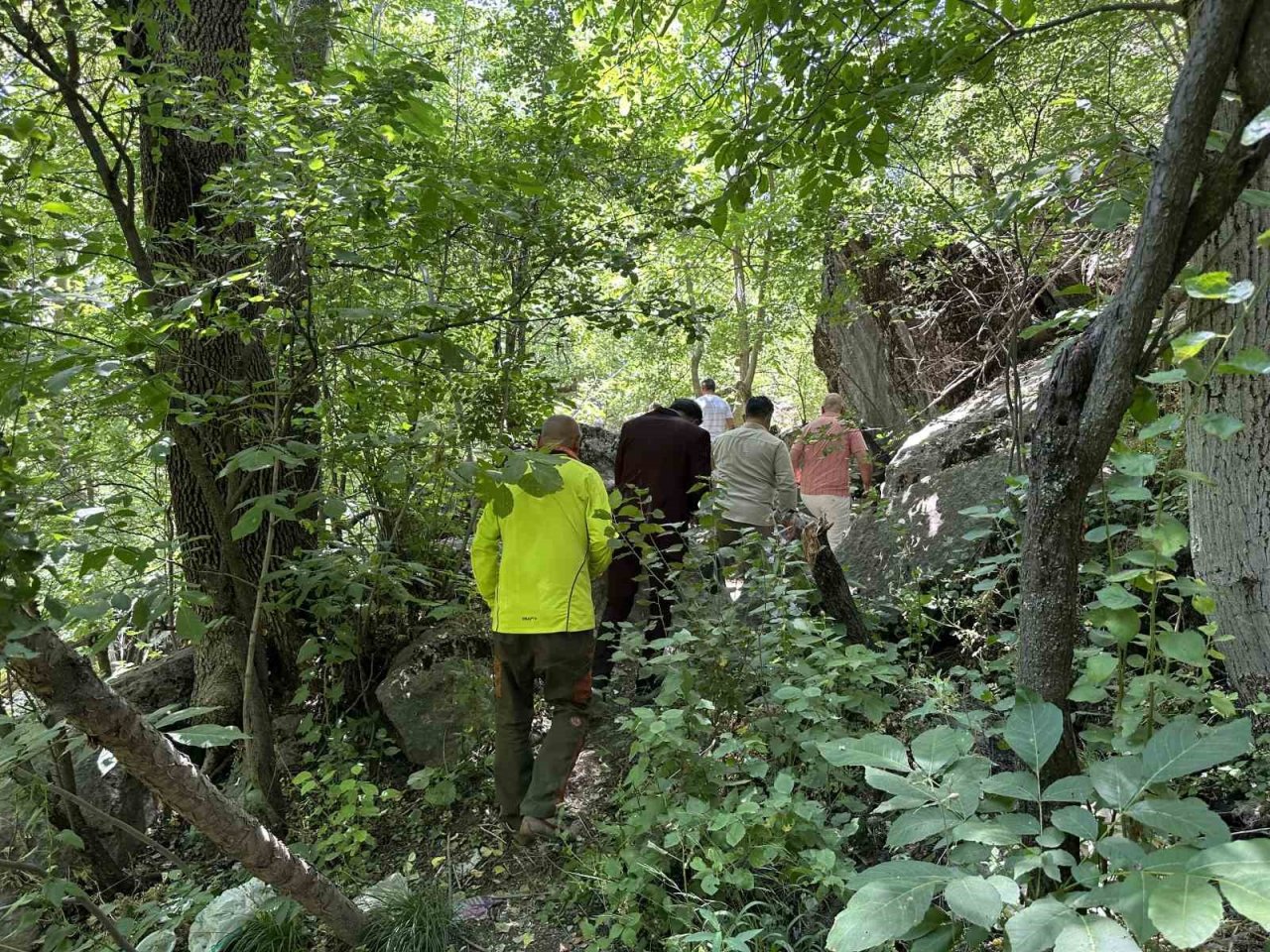 Irak heyeti Amazon’a benzettikleri Doski Vadisi’nde