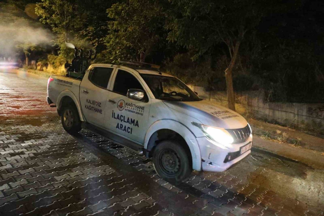 Kağıthane’de haşerelere karşı ilaçlama çalışmaları sürüyor
